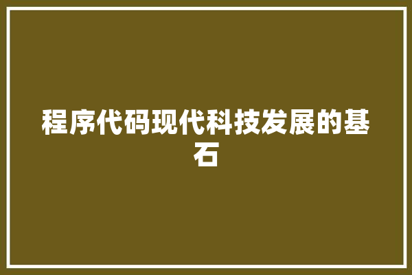 程序代码现代科技发展的基石