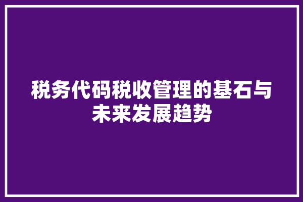 税务代码税收管理的基石与未来发展趋势