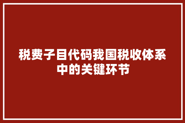 税费子目代码我国税收体系中的关键环节