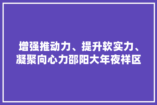 增强推动力、提升软实力、凝聚向心力邵阳大年夜祥区推进中小学人工智能教诲稳步成长_人工智能_全区 科技快讯