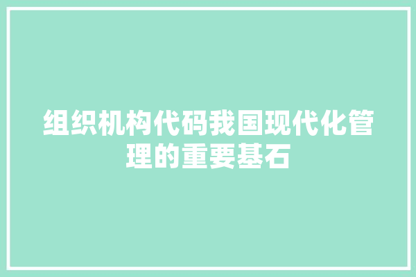 组织机构代码我国现代化管理的重要基石