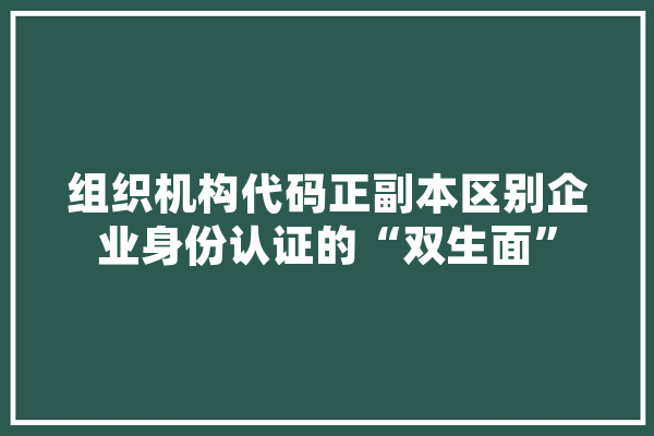 组织机构代码正副本区别企业身份认证的“双生面”