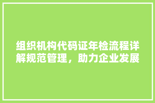 组织机构代码证年检流程详解规范管理，助力企业发展 AI快讯