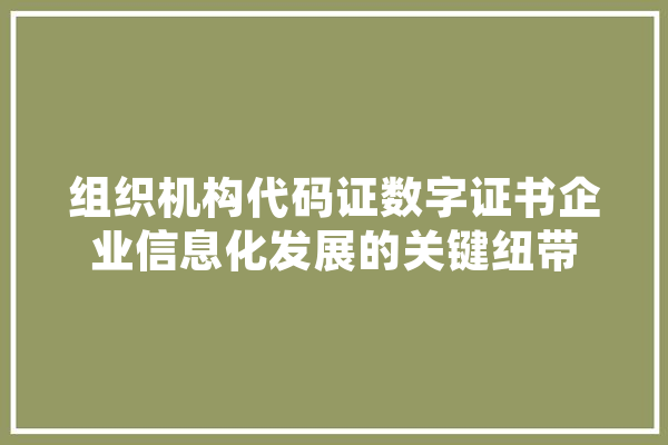 组织机构代码证数字证书企业信息化发展的关键纽带 云服务