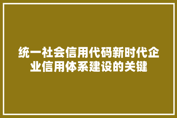 统一社会信用代码新时代企业信用体系建设的关键