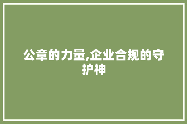 公章的力量,企业合规的守护神