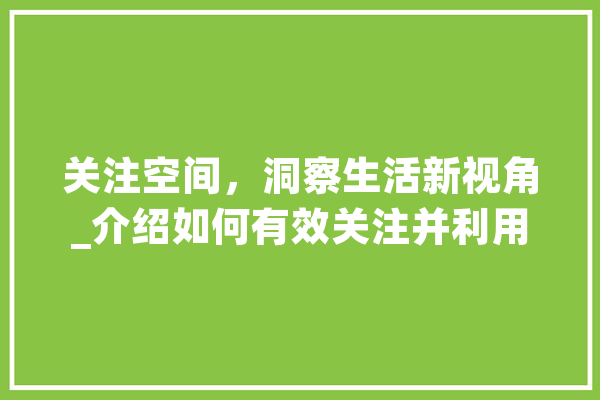 关注空间，洞察生活新视角_介绍如何有效关注并利用空间价值