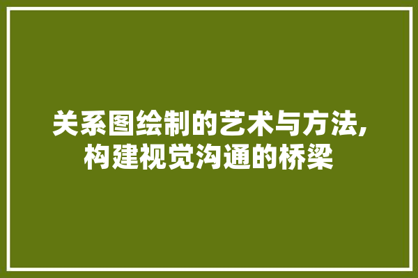 关系图绘制的艺术与方法,构建视觉沟通的桥梁