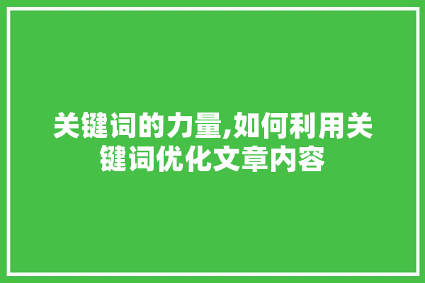 关键词的力量,如何利用关键词优化文章内容