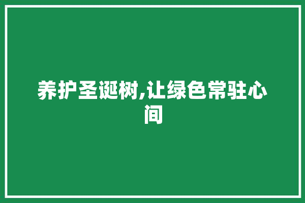 养护圣诞树,让绿色常驻心间 智能问答