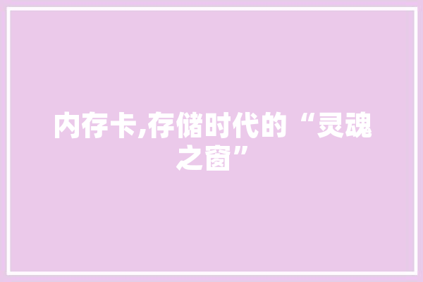 内存卡,存储时代的“灵魂之窗”