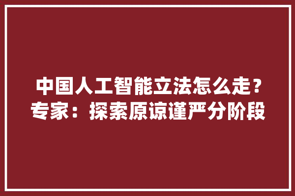 中国人工智能立法怎么走？专家：探索原谅谨严分阶段立法思路_人工智能_范畴 AI快讯