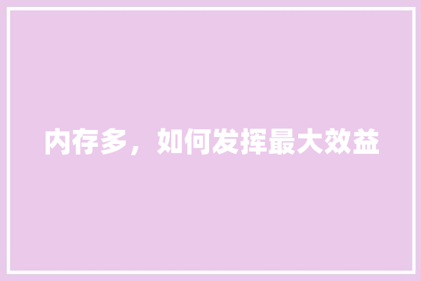 内存多，如何发挥最大效益