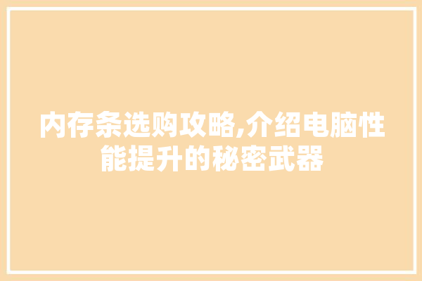 内存条选购攻略,介绍电脑性能提升的秘密武器