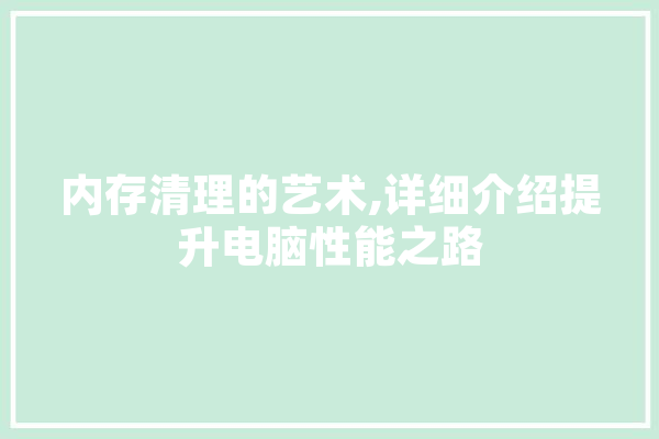 内存清理的艺术,详细介绍提升电脑性能之路