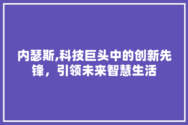 内瑟斯,科技巨头中的创新先锋，引领未来智慧生活