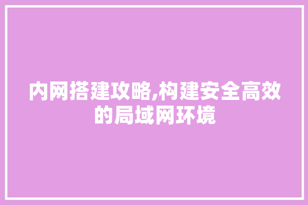 内网搭建攻略,构建安全高效的局域网环境