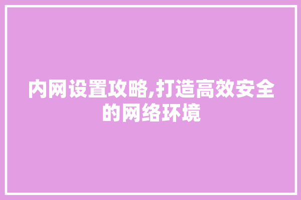 内网设置攻略,打造高效安全的网络环境