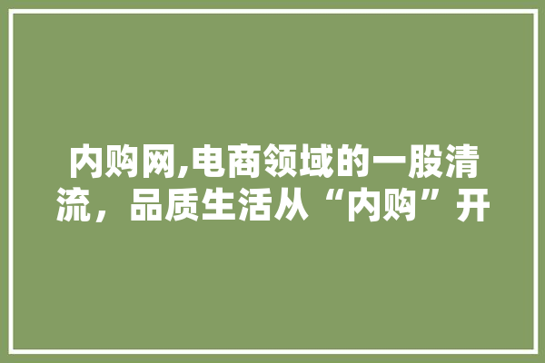 内购网,电商领域的一股清流，品质生活从“内购”开始
