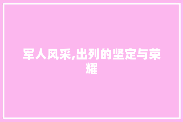 军人风采,出列的坚定与荣耀 文字写作