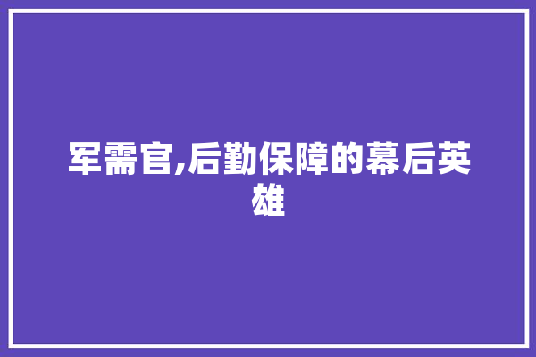 军需官,后勤保障的幕后英雄 云服务