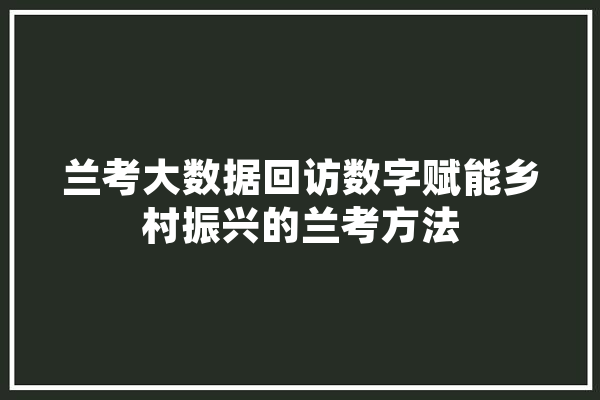 兰考大数据回访数字赋能乡村振兴的兰考方法