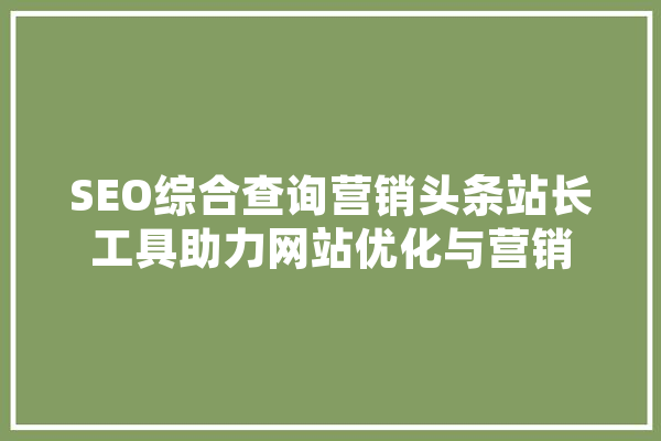 SEO综合查询营销头条站长工具助力网站优化与营销