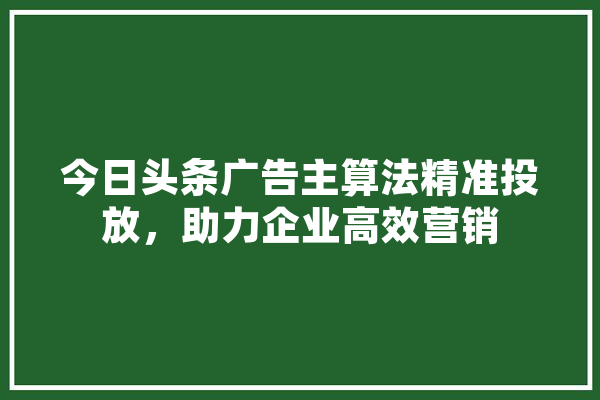 今日头条广告主算法精准投放，助力企业高效营销