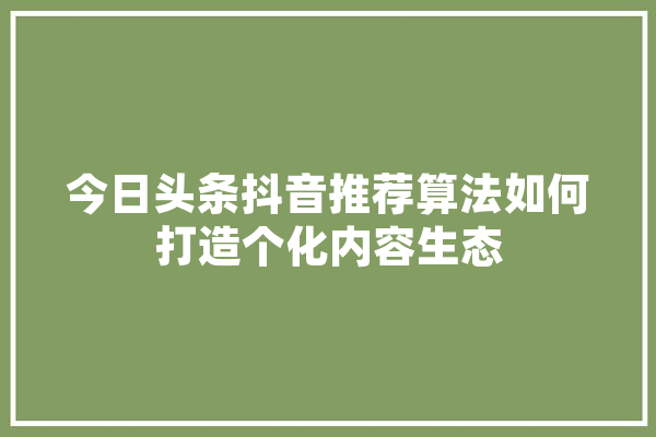 今日头条抖音推荐算法如何打造个化内容生态 云服务