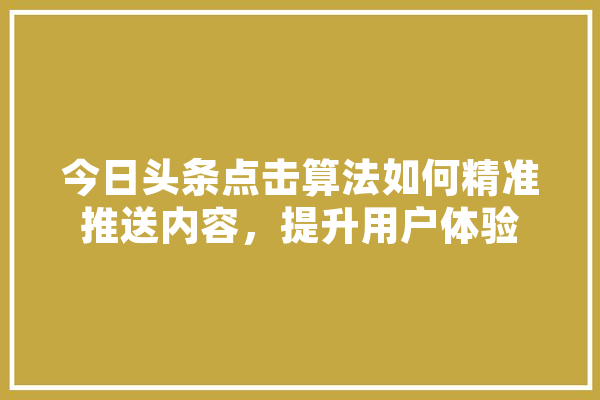 今日头条点击算法如何精准推送内容，提升用户体验 AI简讯