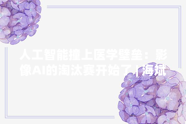 人工智能撞上医学壁垒：影像AI的淘汰赛开始了 | 海斌访谈_医疗_人工智能 绘影字幕