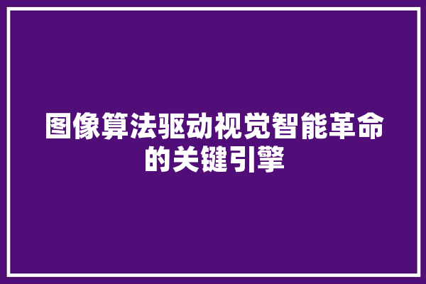 图像算法驱动视觉智能革命的关键引擎