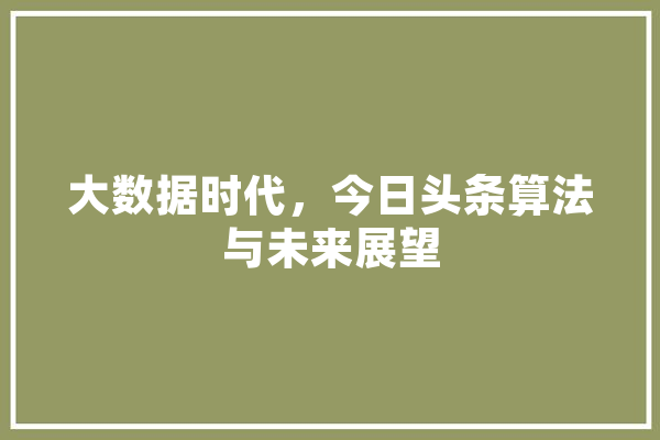 大数据时代，今日头条算法与未来展望