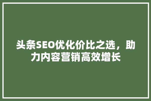 头条SEO优化价比之选，助力内容营销高效增长