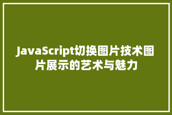 JavaScript切换图片技术图片展示的艺术与魅力