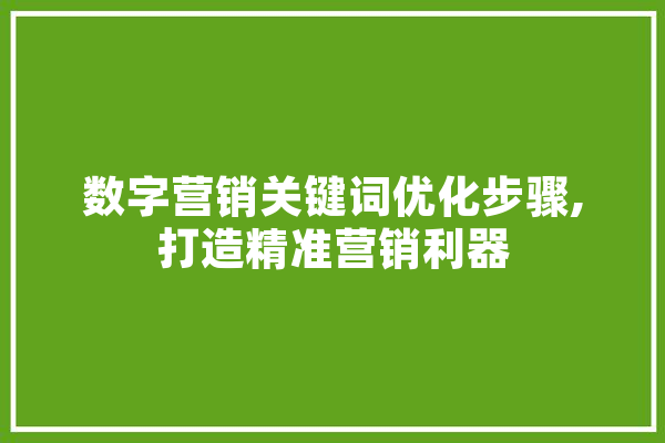 数字营销关键词优化步骤,打造精准营销利器