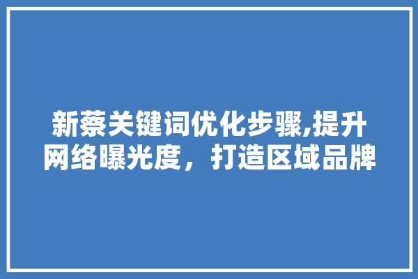 新蔡关键词优化步骤,提升网络曝光度，打造区域品牌新名片