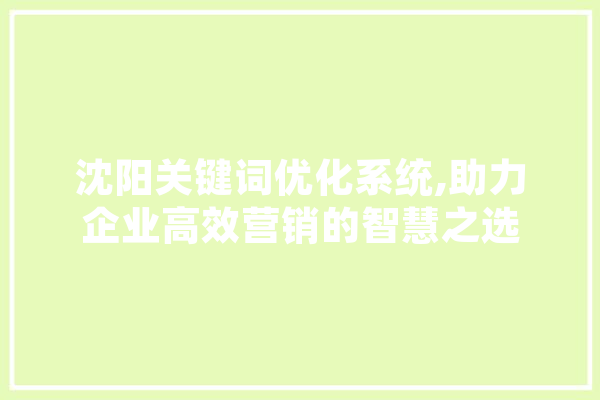 沈阳关键词优化系统,助力企业高效营销的智慧之选