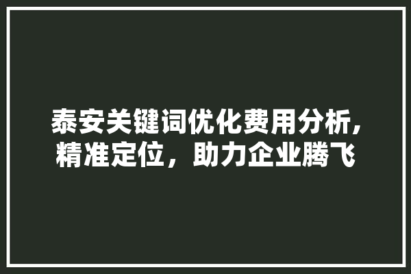 泰安关键词优化费用分析,精准定位，助力企业腾飞