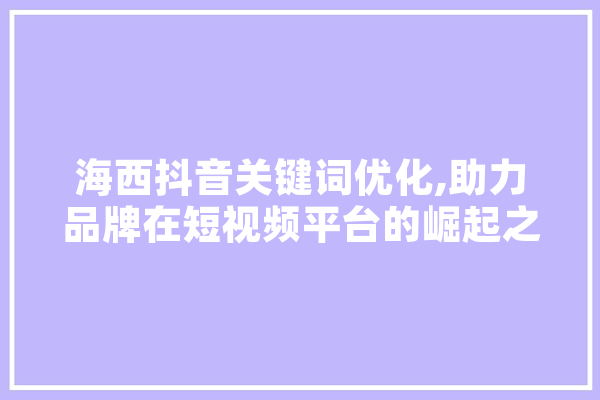 海西抖音关键词优化,助力品牌在短视频平台的崛起之路