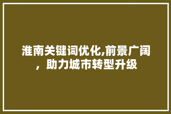 淮南关键词优化,前景广阔，助力城市转型升级