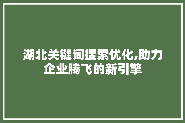 湖北关键词搜索优化,助力企业腾飞的新引擎