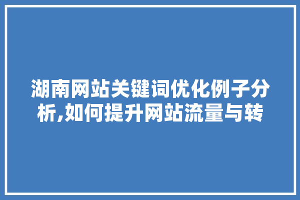 湖南网站关键词优化例子分析,如何提升网站流量与转化率