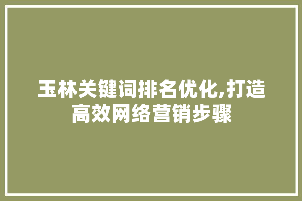 玉林关键词排名优化,打造高效网络营销步骤