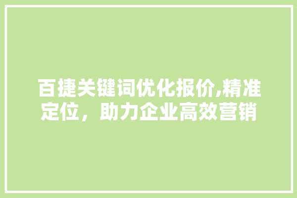 百捷关键词优化报价,精准定位，助力企业高效营销