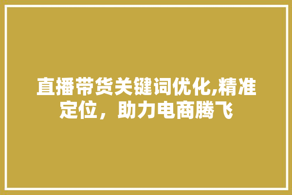 直播带货关键词优化,精准定位，助力电商腾飞 云服务