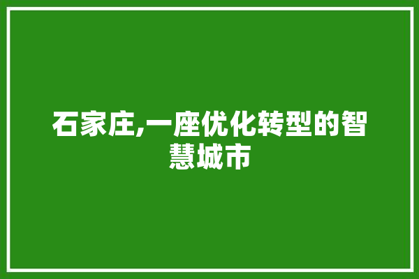 石家庄,一座优化转型的智慧城市