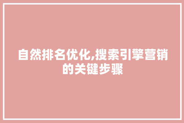 自然排名优化,搜索引擎营销的关键步骤