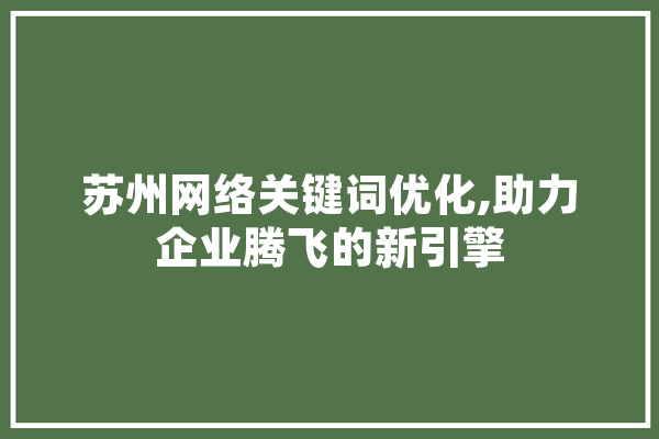 苏州网络关键词优化,助力企业腾飞的新引擎