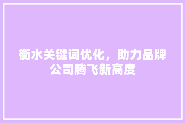 衡水关键词优化，助力品牌公司腾飞新高度